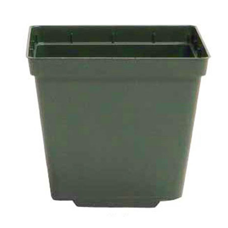 (image for) Pots Green - 3 Inch